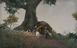 ON-quest-Wyrd and Coven 05.jpg