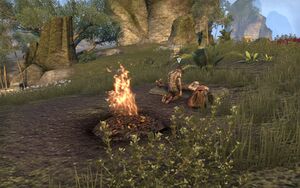 ON-quest-The Flower of Youth 07.jpg