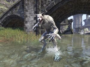 ON-quest-Back-Alley Murders 02.jpg