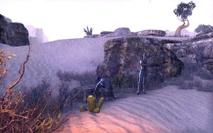 ON-quest-Whose Wedding.jpg