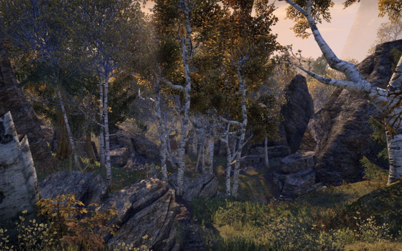 Файл:ON-interior-Jerall Mountains Logging Track 01.jpg