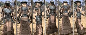 ON-item-armor-Homespun-f-Telvanni Style.jpg