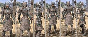 ON-item-armor-Medium-f-Divine Prosecution Style.jpg