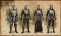 ON-Armor-concept-Aldmeri Dominion Style.jpg