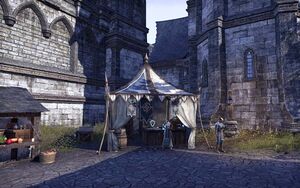 ON-place-Mages Guild (Northpoint).jpg