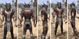 ON-item-armor-Ancestor Silk-m-New Moon Priest Style.jpg