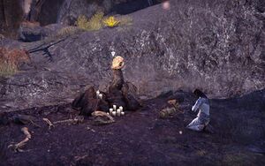 ON-quest-Ancestral Ties 05.jpg