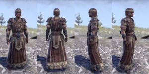 ON-item-armor-Cotton-Robe-Nord-Male.jpg