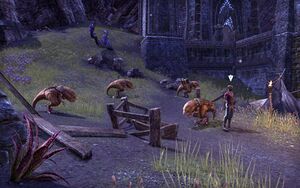 ON-quest-A Gathering of Guar 01.jpg