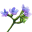 ON-icon-reagent-Bugloss.png