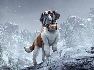 ON-pet-Anthorbred Avalanche Dog.jpg