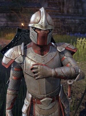 ON-npc-Knight of the Flame 03.jpg