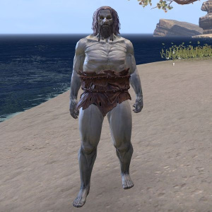 ON-skin-Soul-Shriven (male).jpg