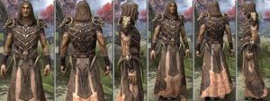 ON-item-armor-Homespun-m-Primal Style.jpg