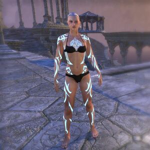 ON-body marking-Body Imprint of the Psijic Order.jpg