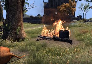 ON-quest-Fire in the Fields 03.jpg