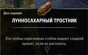 ON-quest-A Little on the Side 03.jpg