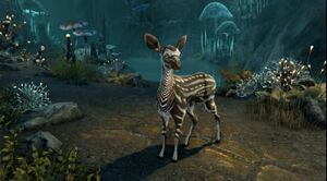 ON-pet-Ambersheen Vale Fawn.jpg