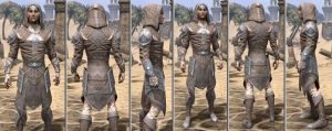 ON-item-armor-Rawhide-m-Psijic Style.jpg