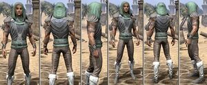 ON-item-armor-Homespun-m-Pyandonean Style.jpg