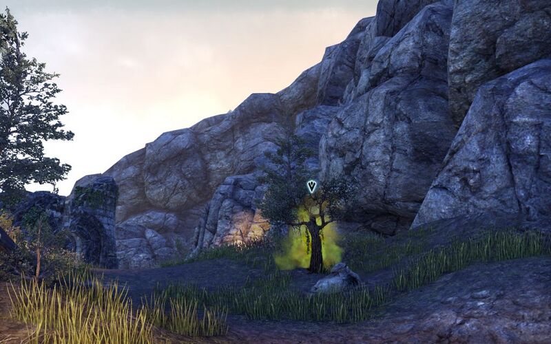 Файл:ON-quest-The Price of Longevity.jpg