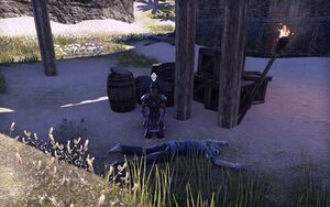 ON-npc-Watchman Emydal.jpg