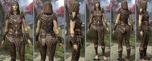 ON-item-armor-Homespun-f-Primal Style.jpg