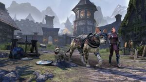 ON-misc-The Waking Flame Collector’s Bundle.jpg