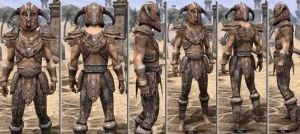 ON-item-armor-Rawhide-m-Draugr Style.jpg