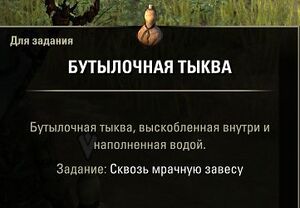 ON-place-Through a Veil Darkly 06.jpg