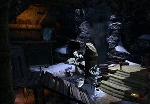 ON-interior-Icehammer's Vault 02.jpg