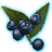 ON-icon-misc-Onyx Berries of Bloom.png