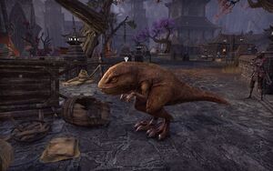 ON-quest-Finding the Family 01.jpg