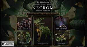 ON-misc-Necrom-14.jpg