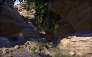 ON-quest-A Flawless Plan 13.jpg