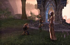 ON-quest-The Veiled Choice 03.jpg