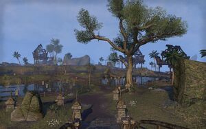 ON-place-Speckled Shell Plantation.jpg