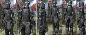 ON-item-armor-Iron-f-Trinimac Style.jpg