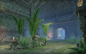 ON-place-Xul-Katama 06.jpg