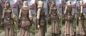 ON-item-armor-Homespun-f-Altmer Style.jpg