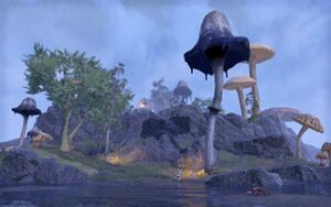 ON-place-Firemoth Island 01.jpg
