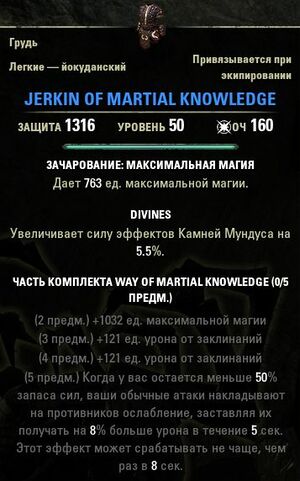 ON-item-Jerkin of Martial Knowledge.jpg