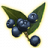 ON-icon-misc-Onyx Berries of Ripeness.png