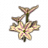 ON-icon-fragment-Flowers.png