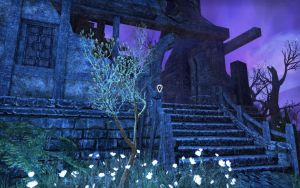 ON-quest-Decree of the Court.jpg