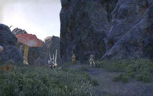 ON-quest-Fleeing the Past 07.jpg