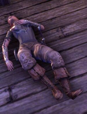 ON-place-Like Moths to a Candle 08.jpg