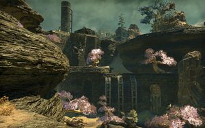 ON-place-Ventral Terminus.jpg