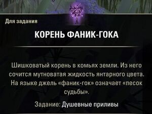 ON-quest-Tides of the Heart 08.jpg