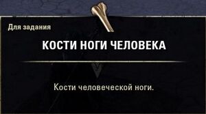 ON-item-quest-Undying Loyaltyn 05.jpg